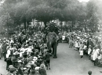 Menigte Bezoekers Bekijkt een Olifantenrit in de London Zoo, Augustus Bank Holiday, 1922